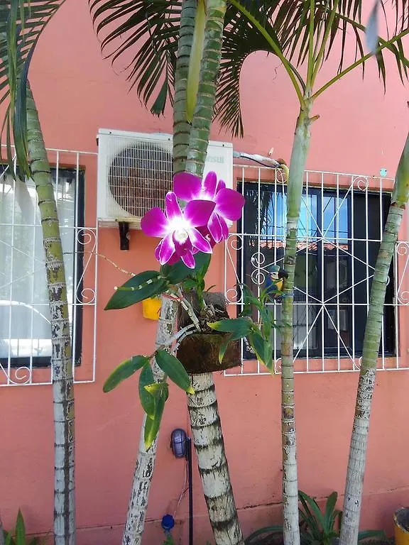 Han/Misafirhane Pousada Suites Das Galinhas Pôrto das Galinhas Brezilya